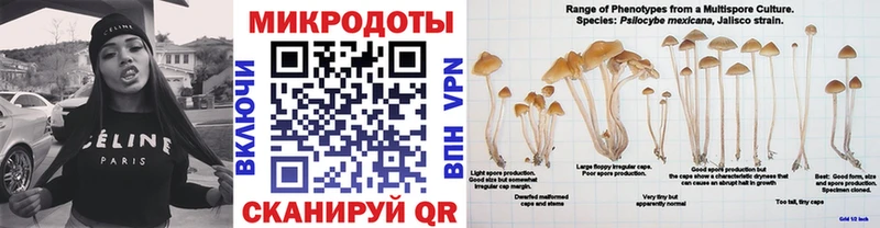 как найти   Абдулино  Галлюциногенные грибы Psilocybine cubensis 