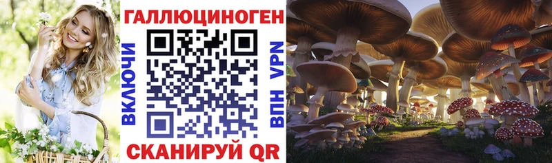 Псилоцибиновые грибы Psilocybine cubensis Абдулино